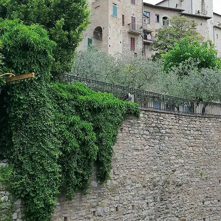 Camere Lapini