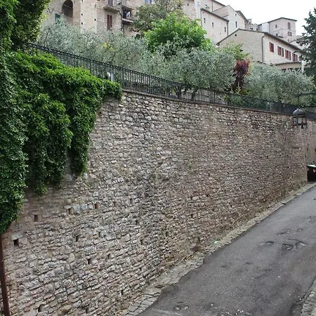 Camere Lapini *
