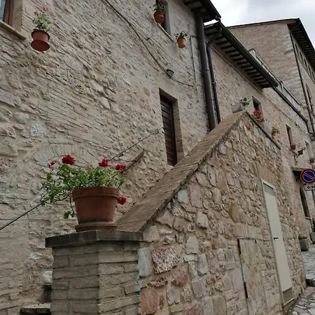 Maison d'hôtes Camere Lapini *
