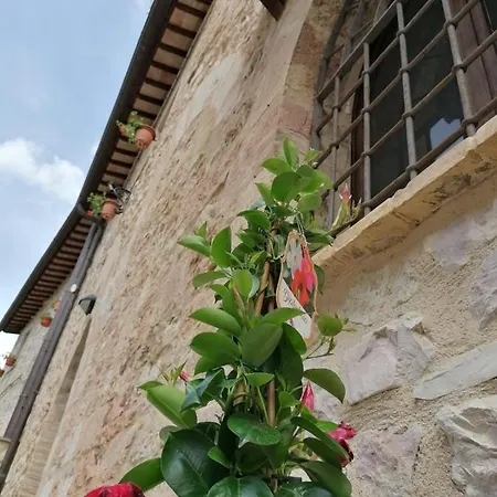 Maison d'hôtes Camere Lapini *